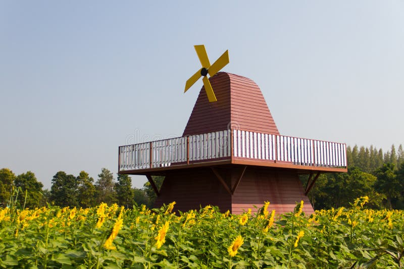 Field of sunflowers and windmills. Field of sunflowers and windmills